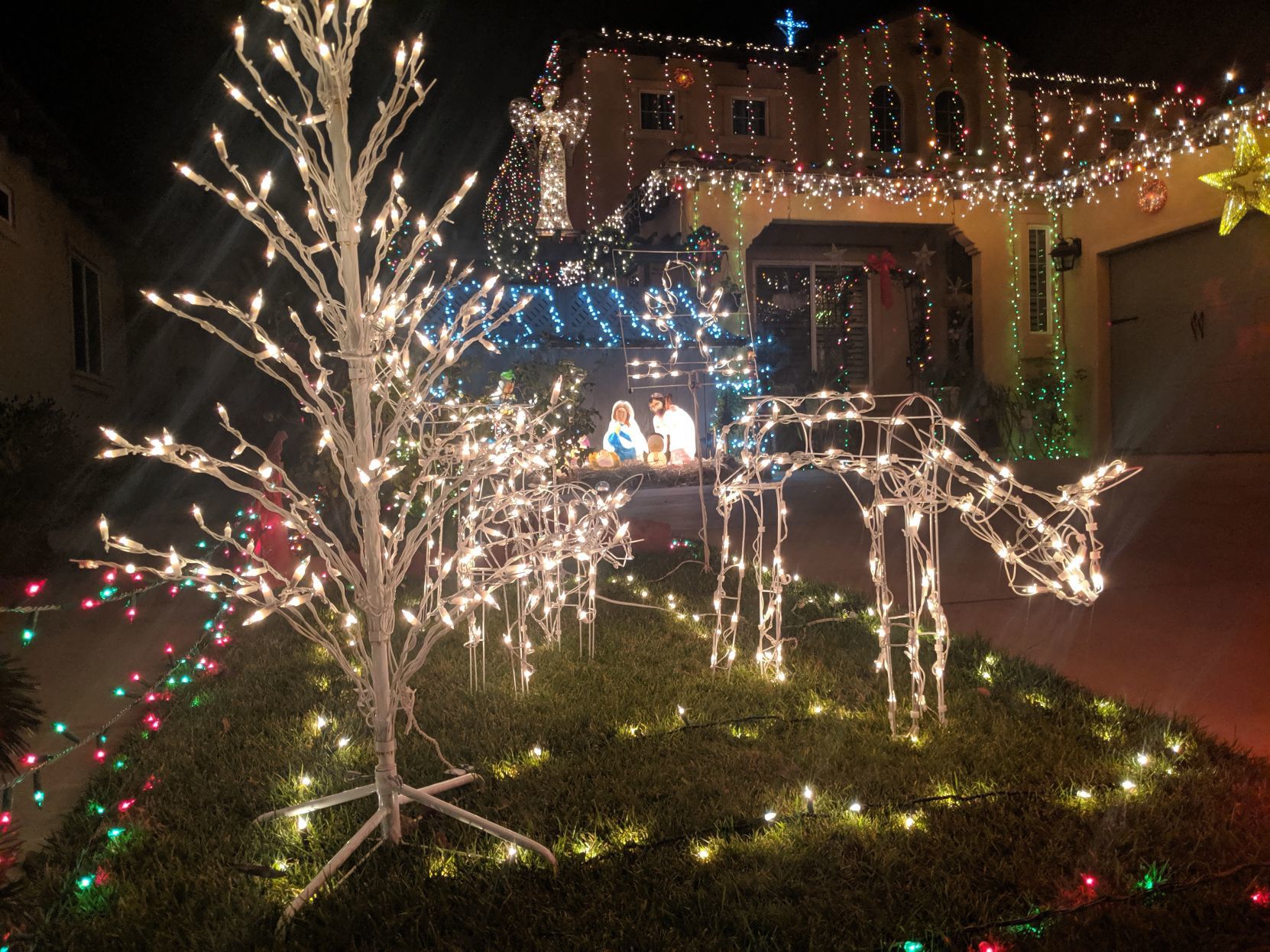 121319 SM Lights Sights 21.jpg